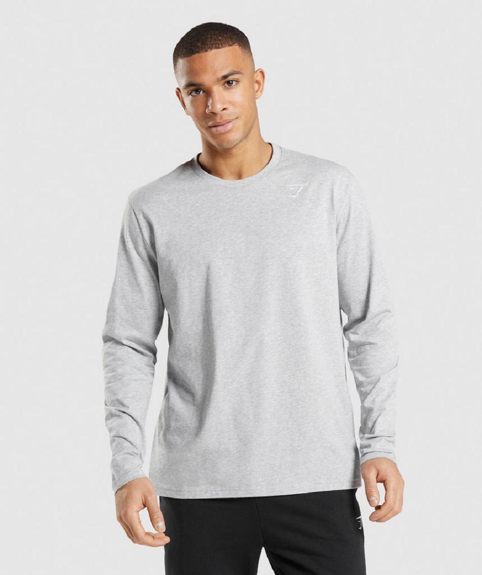 Long Sleeve Gymshark Crest Hombre Gris Claro | CO 3465ZUT